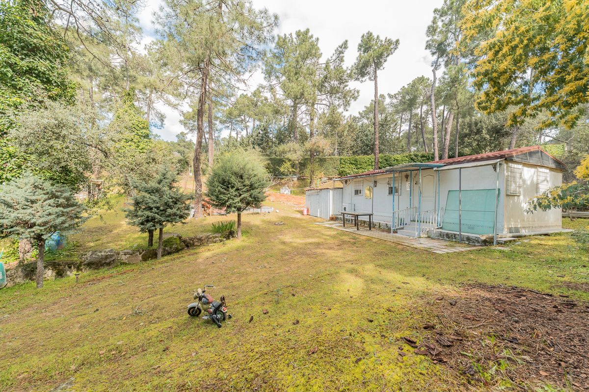 Garden of House or chalet for sale in Rozas de Puerto Real  with Private garden