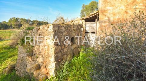 Foto 2 de Finca rústica en venta en Manacor Centre, Manacor