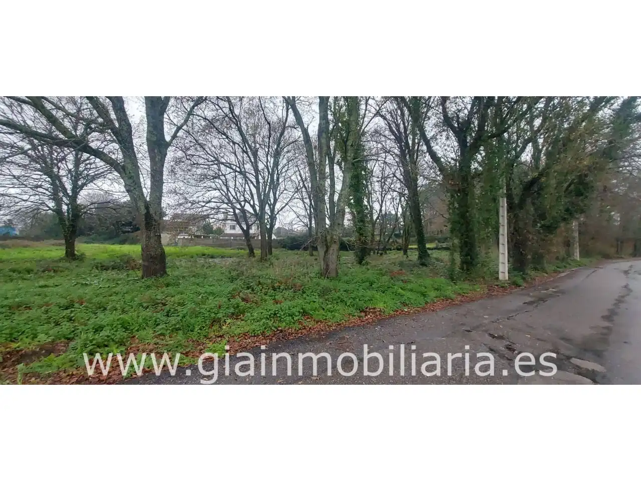 Terreno rustico in vendita a Calle Carregal De Abaixo 5, imagen 10
