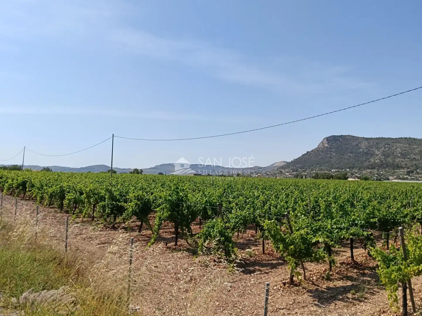 Rustikales Grundstück zum Verkauf in Pedanías Oeste, imagen 38