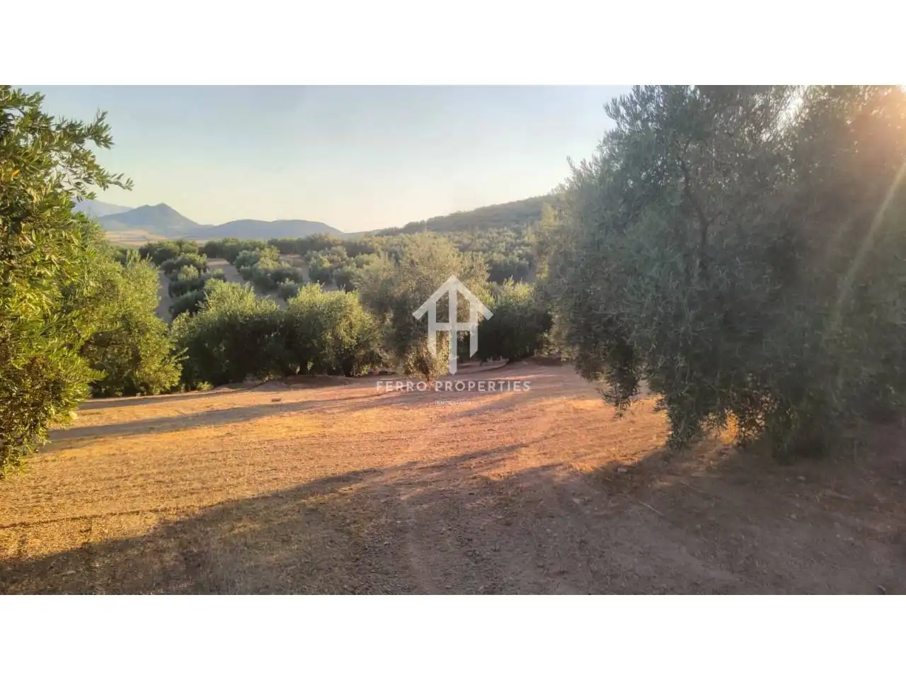 Terrain rustique à vendre à Loja, imagen 7
