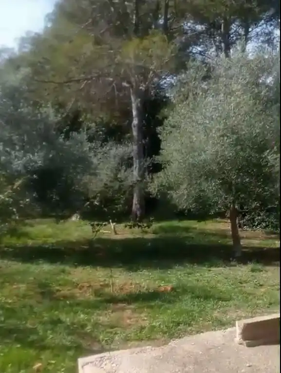 Maison rustique à vendre à Partida les Foyes, imagen 14
