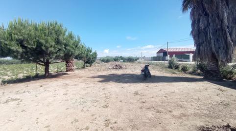 Foto 2 de Terreno en venta en Diseminado Piñuelas, Villanueva de la Serena, Badajoz