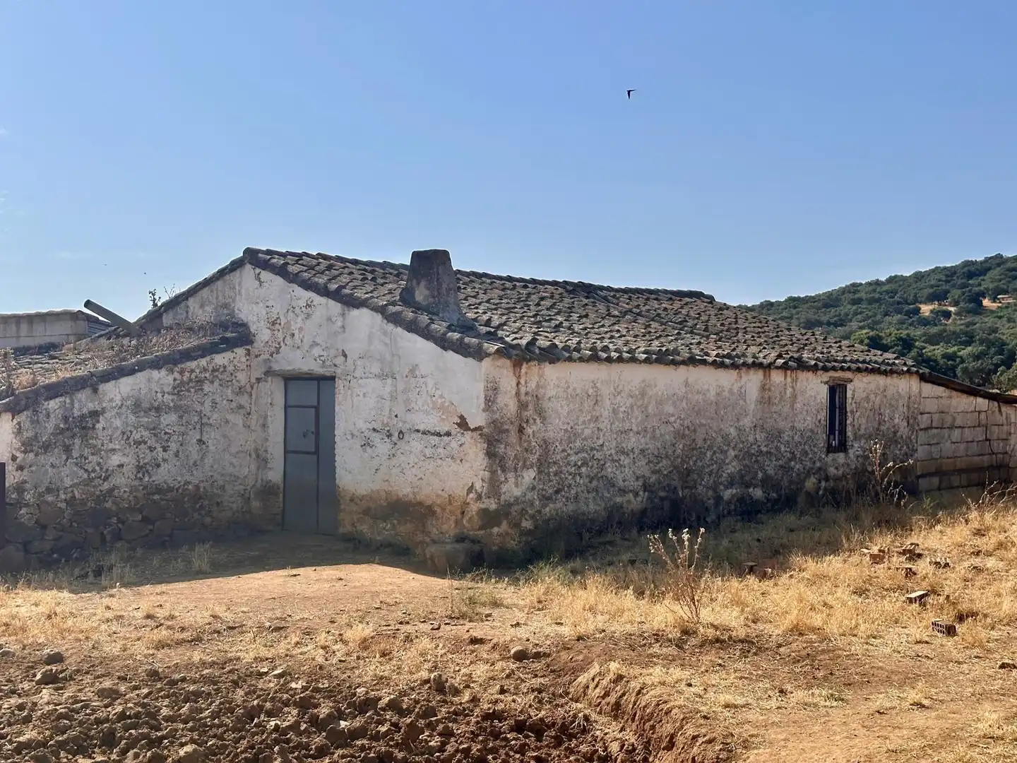 Rural land for sale in Fuente Obejuna, imagen 34