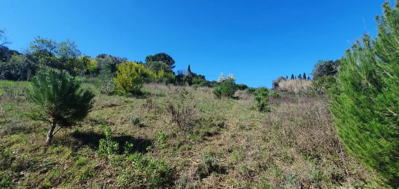 Grundstücke zum Verkauf in Dreta de l'Eixample
