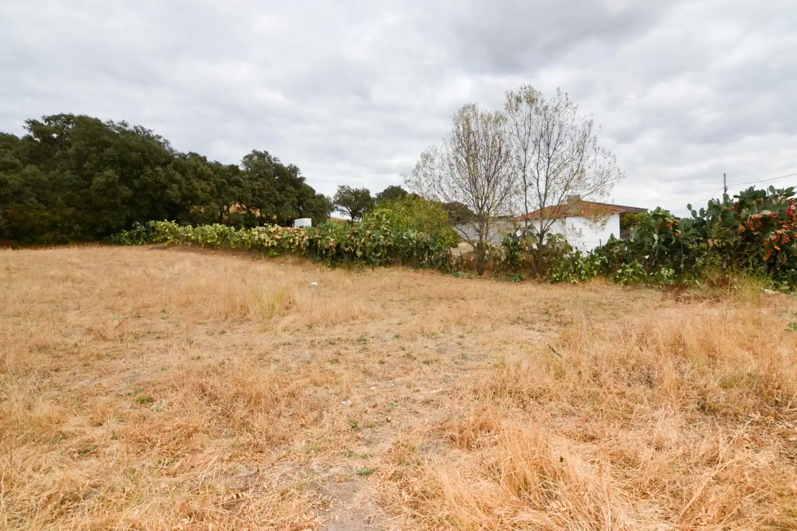 Residencial en venda en Sartajada
