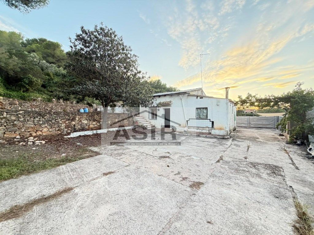 Exterior view of House or chalet for sale in Alzira