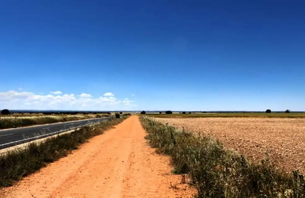 Terreny rústic en venda a La Roda, imagen 3