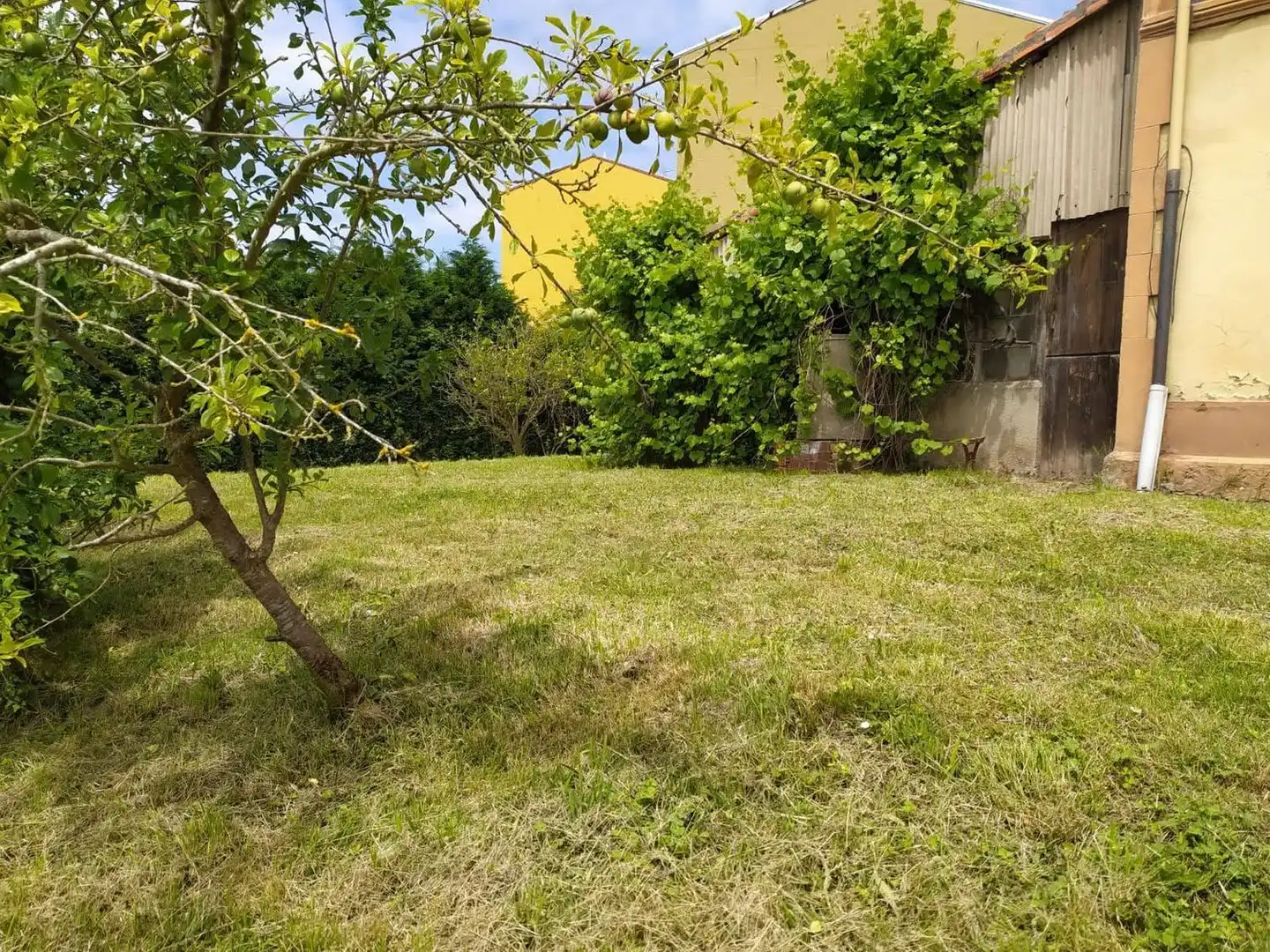 Residential zum Verkauf in Carreño