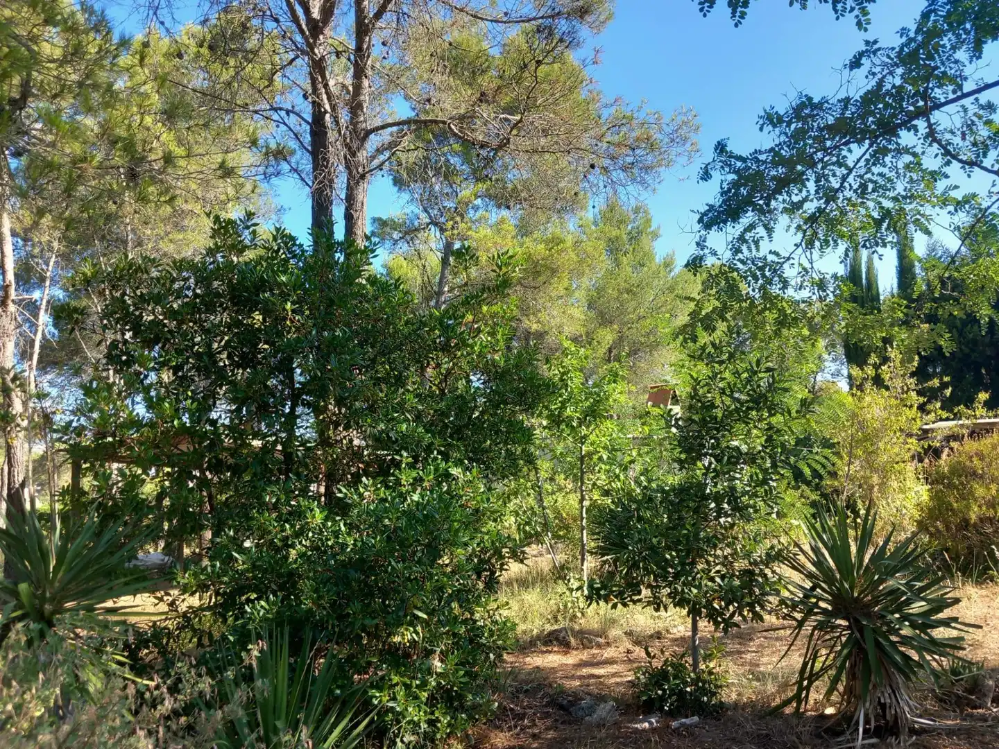 House with garden for sale in Torrelles de Foix, imagen 46