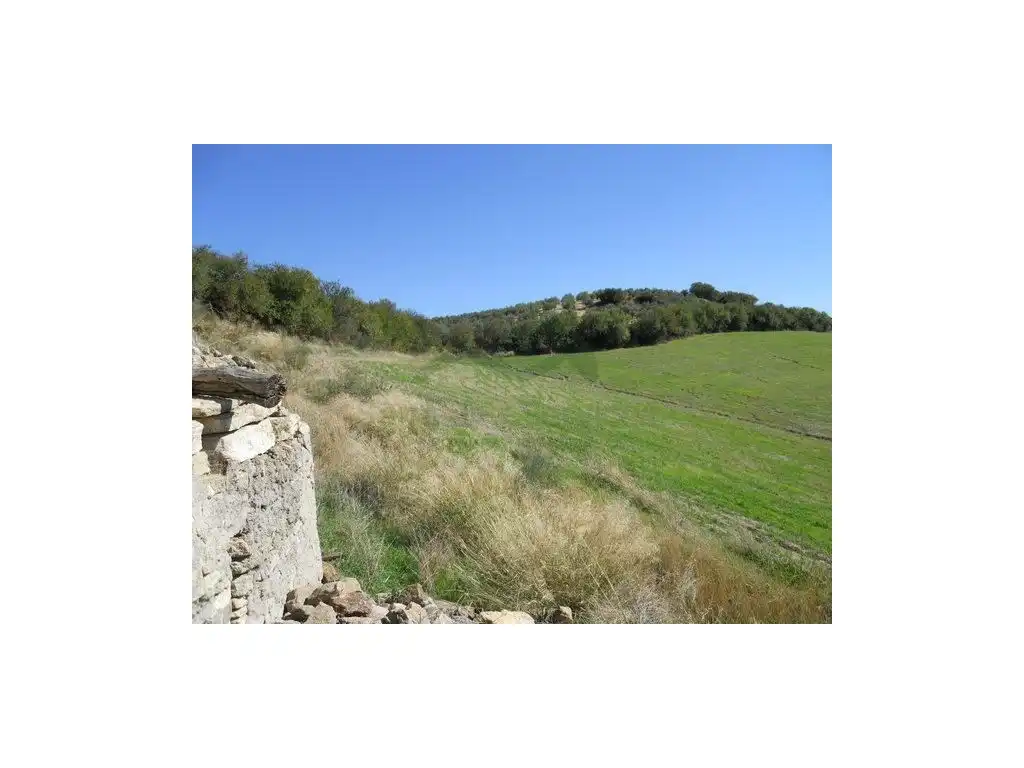 Maison à vendre à Setenil de las Bodegas, imagen 14