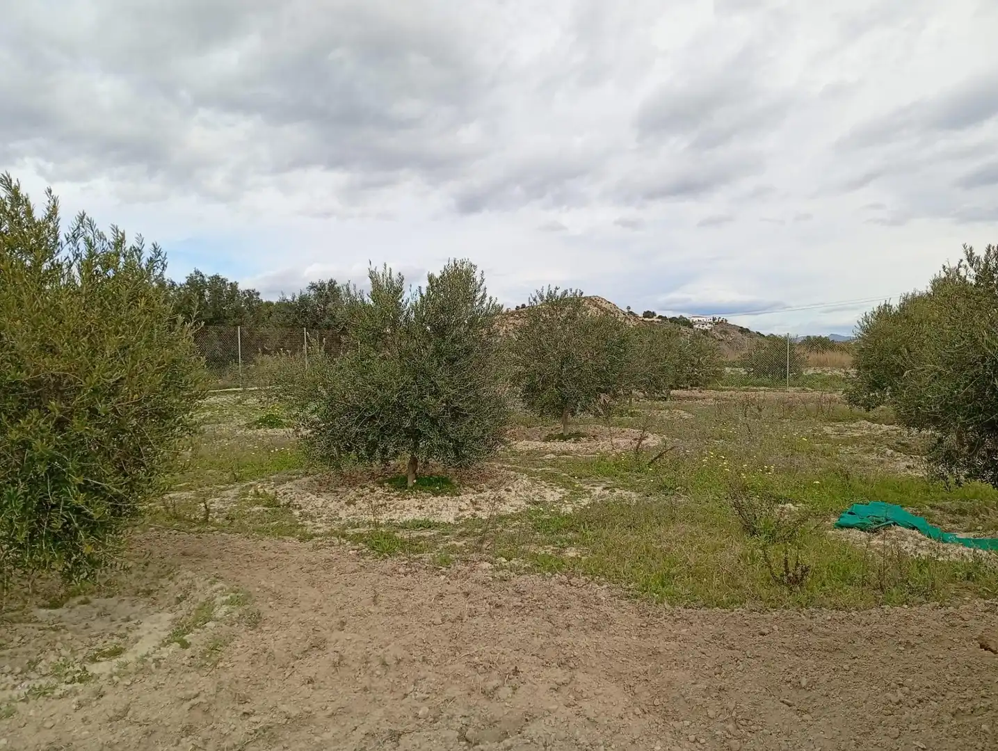 Terrenys i solars en venda a Mojácar Pueblo, imagen 2