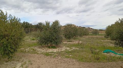 Photo 2 of Land for sale in Ciudad Jardín - Tagarete - El Zapillo,  Almería Capital