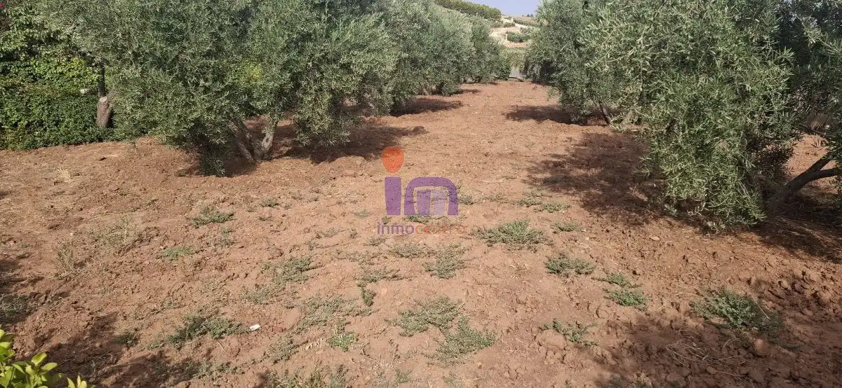 Casa o xalet en venda en Valdepeñas amb Jardí privat i Piscina