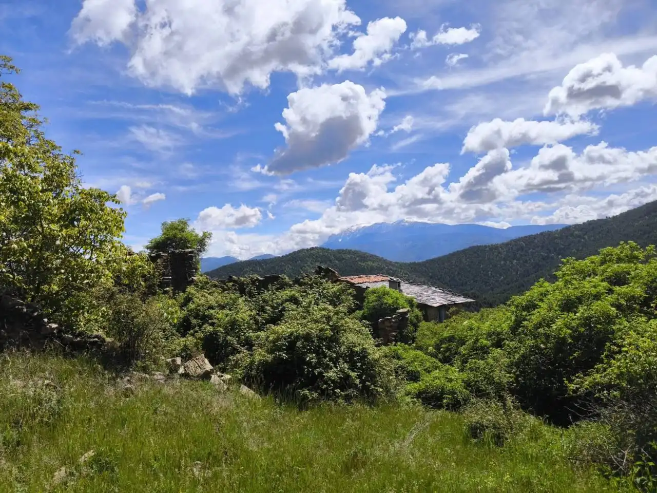Finca rústica en venda en Ribera d'Urgellet