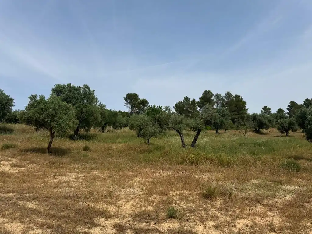 Terreni e lotti in vendita a Mazaleón, imagen 25