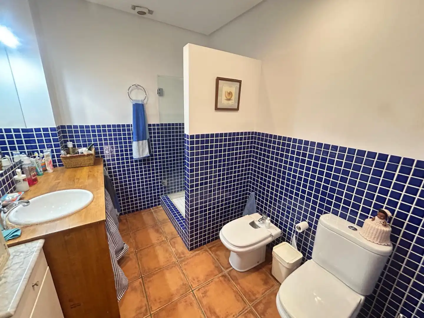 Chalet con piscina en venta en Crevillent, imagen 21