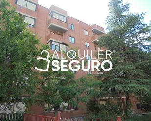 Pis de lloguer a Francisco Rioja, Pueblo Nuevo