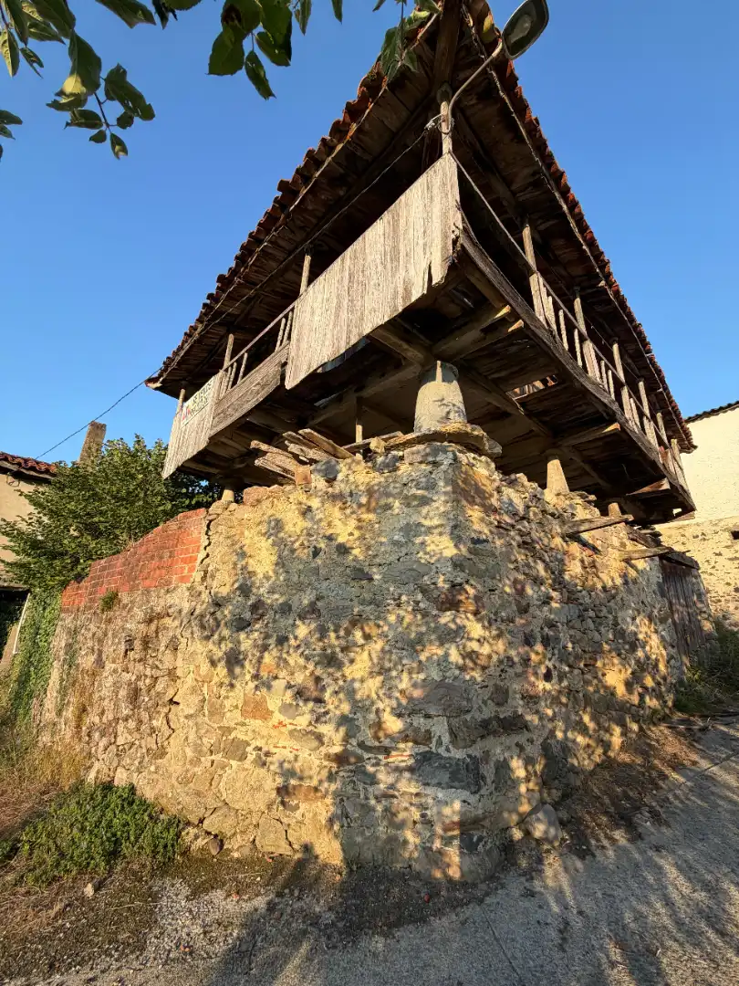 Rural land for sale in Tineo, imagen 6
