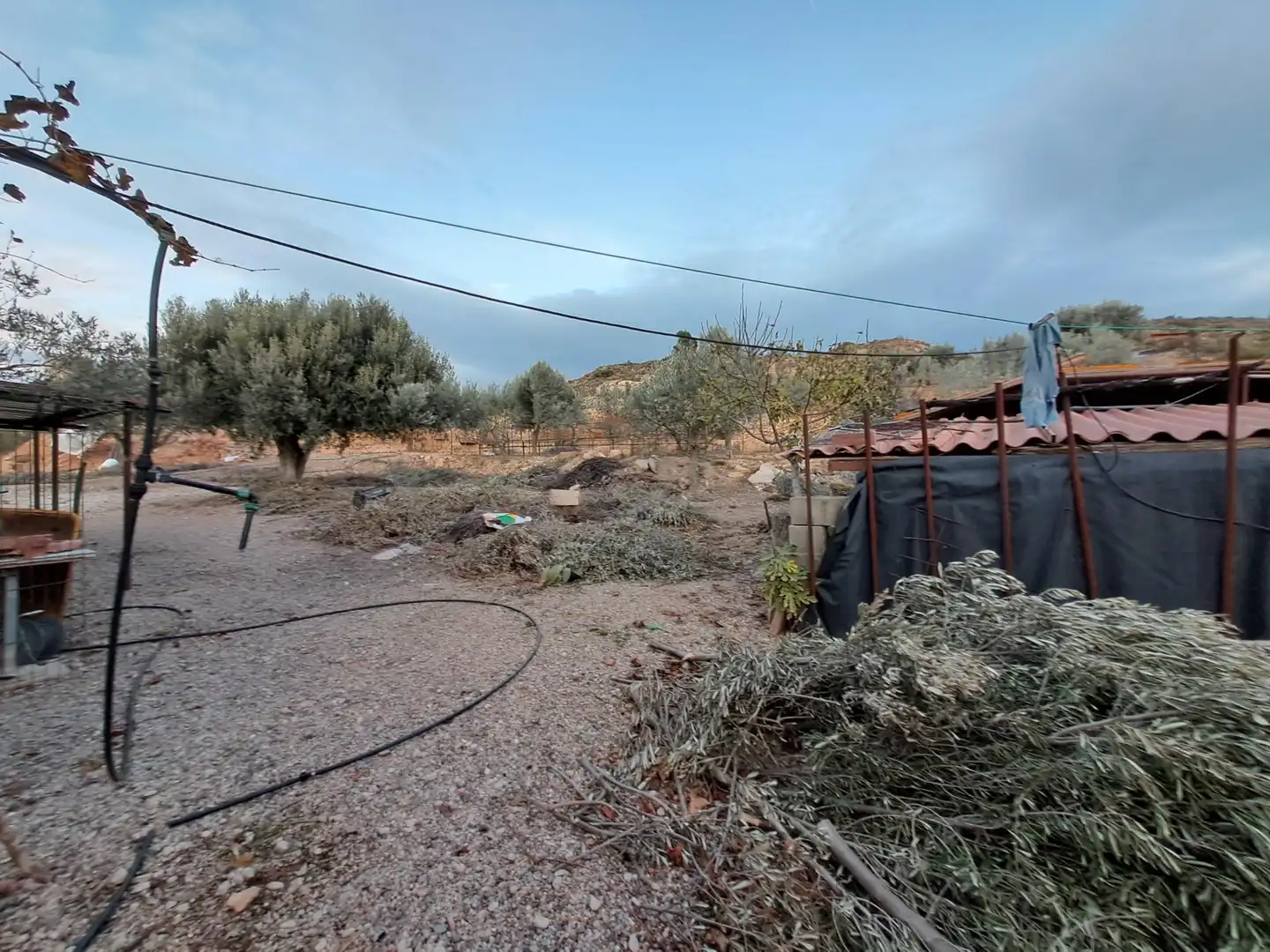 Rustikales Grundstück zum Verkauf in Riba-roja d'Ebre, imagen 12
