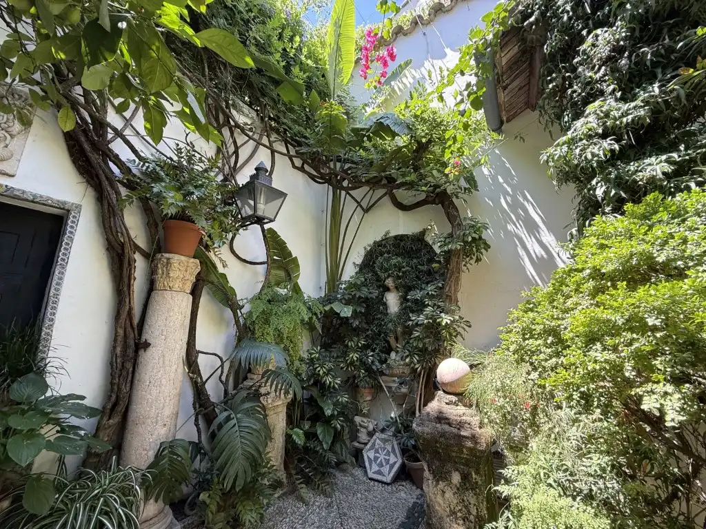 Casa en venda a Centro, imagen 15