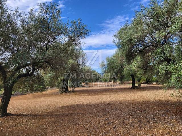 Finca rústica en Venta en Traiguera