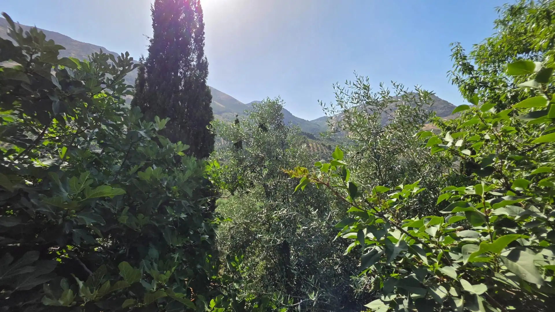 Jardí de Finca rústica en venda en Jaén amb Calefacció, Jardí privat i Terrassa