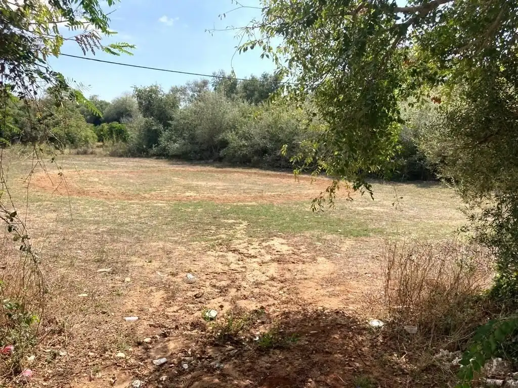 Residential land for sale in La Muela, imagen 2