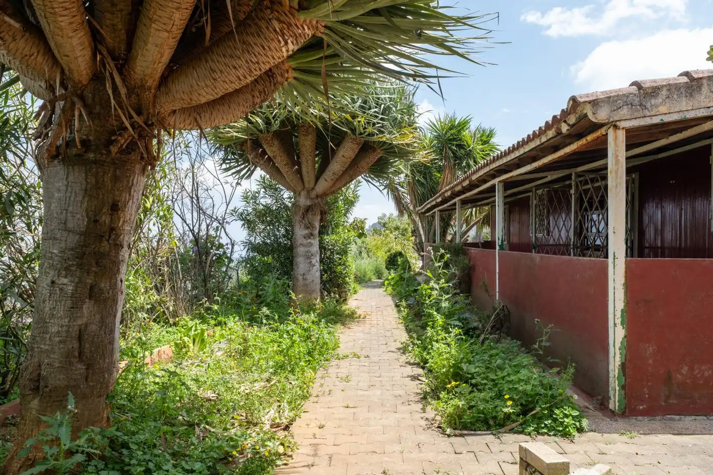 Haus zum Verkauf in Vega de San Mateo, imagen 22