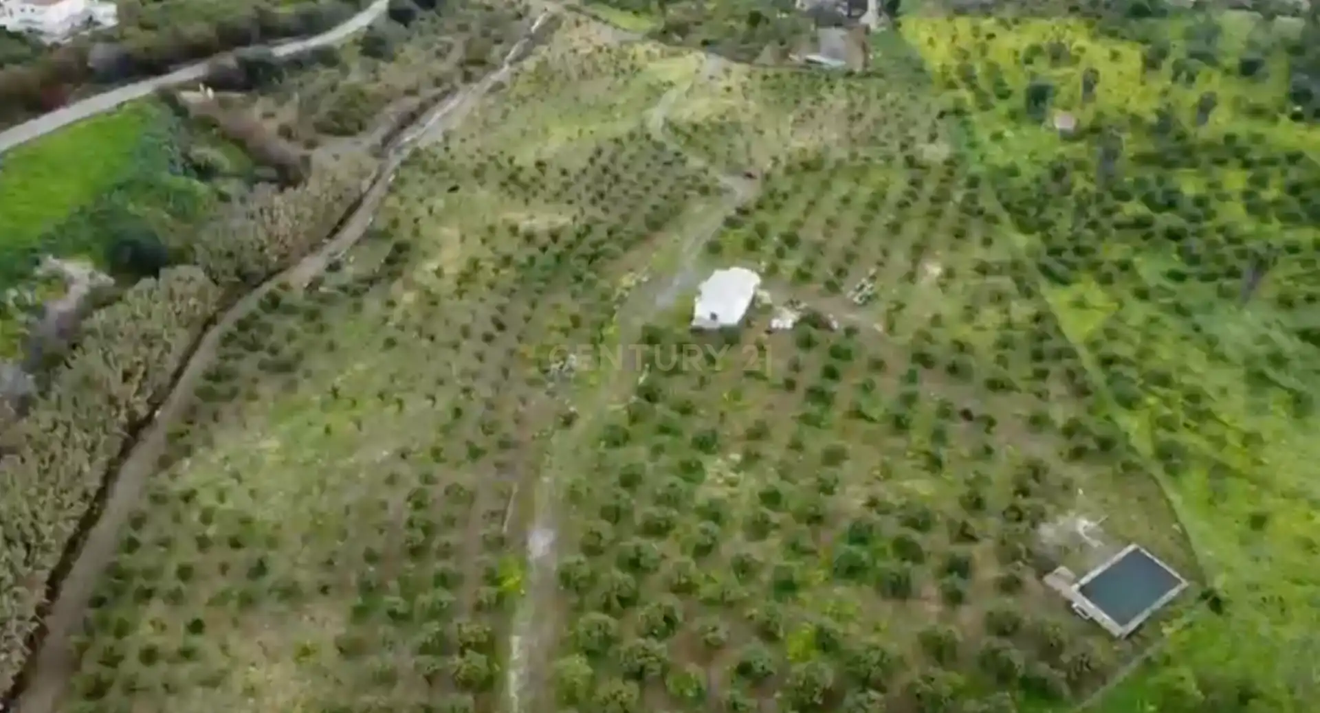 Terreni e lotti in vendita a Diseminado Poligono 22, 75, 29593, Málaga, Spain, imagen 5