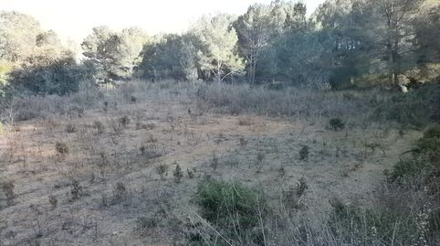 Imagen 2 del anuncio