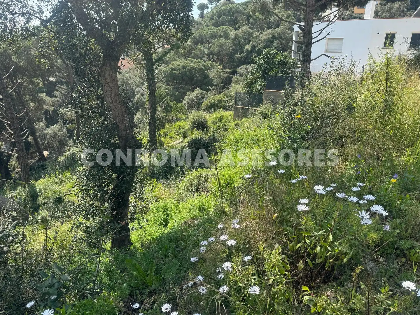 Residential land for sale in Serra Brava, imagen 3