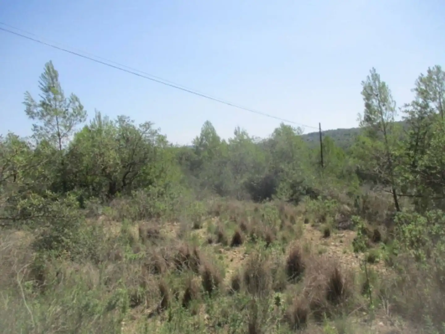 Rural land for sale in Calle Sebastia Riera, imagen 7