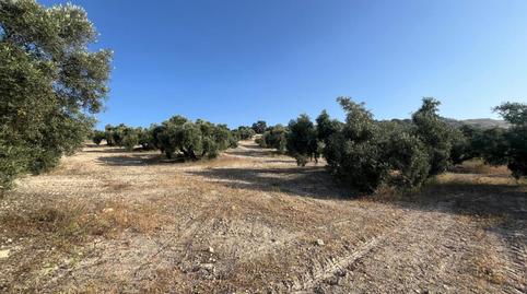 Foto 2 de Finca rústica en venta en Jauja, Lucena
