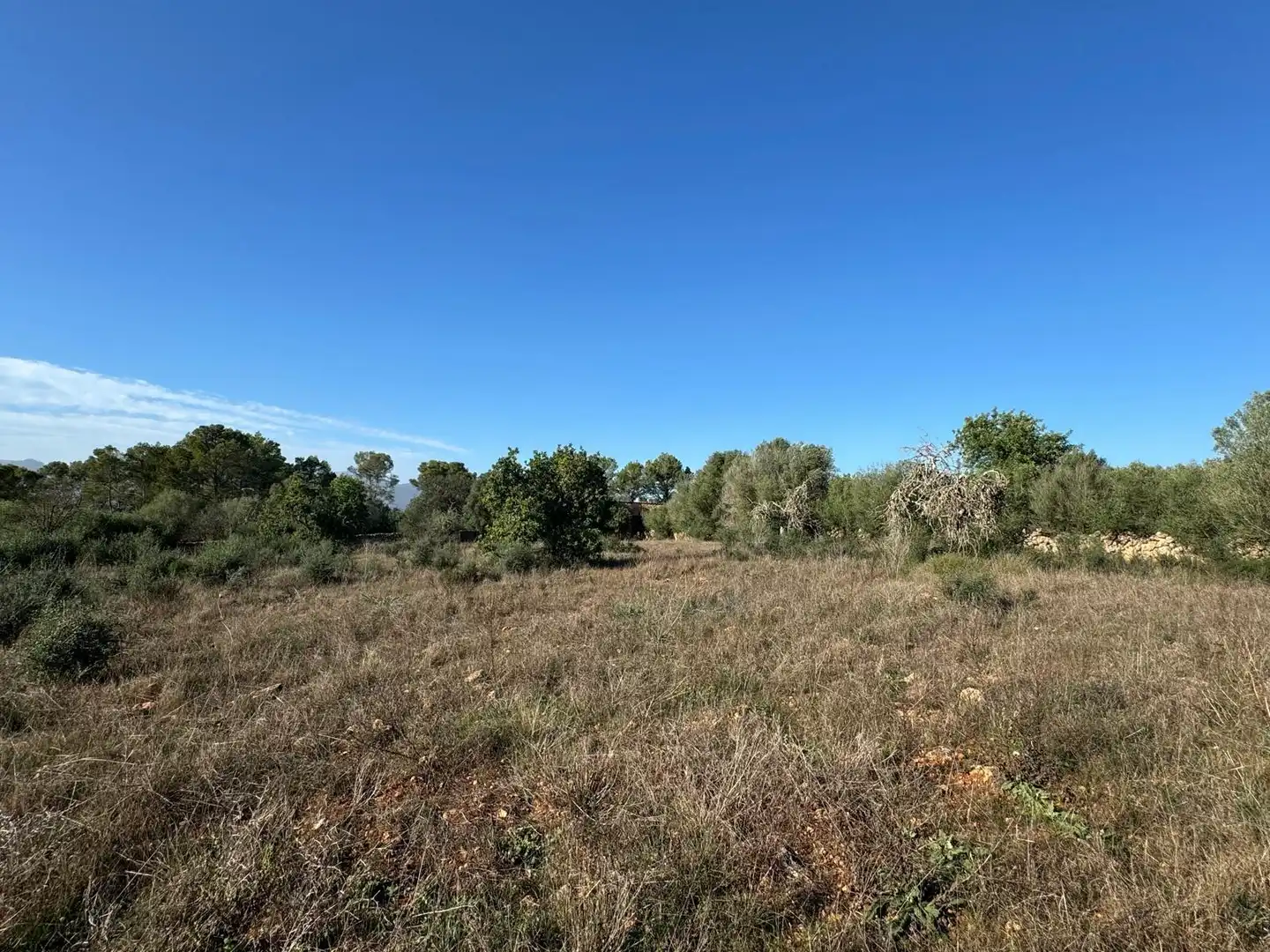 Terreno rustico in vendita a Carrer Major, imagen 4