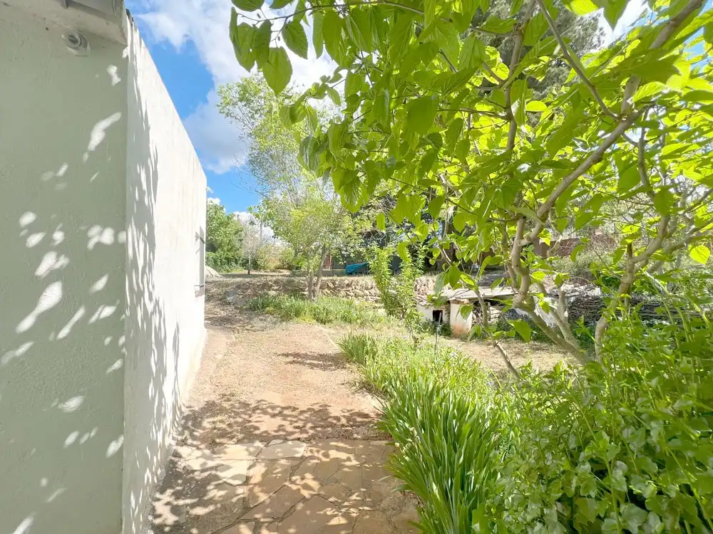Jardín de Casa o chalet en venta en Cabra del Camp con Terraza, Trastero y Amueblado