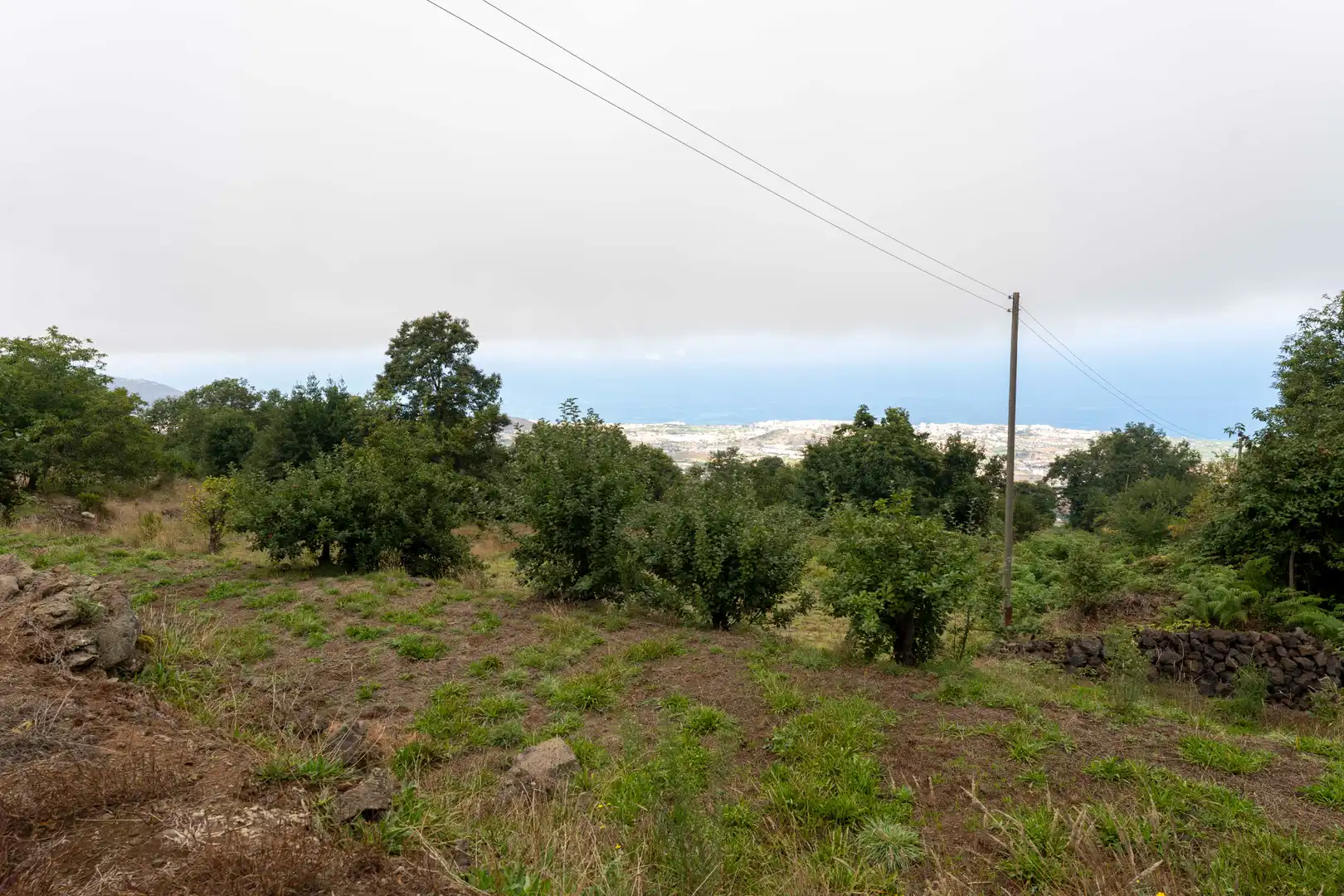 Finca rústica en venta en Calle de El Balayo, La Perdoma - San Antonio - Benijos