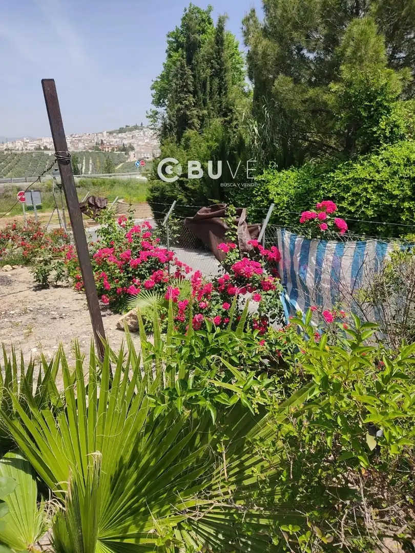 Garden of Houses for sale in Rute  with Terrace, Storage room and Swimming Pool