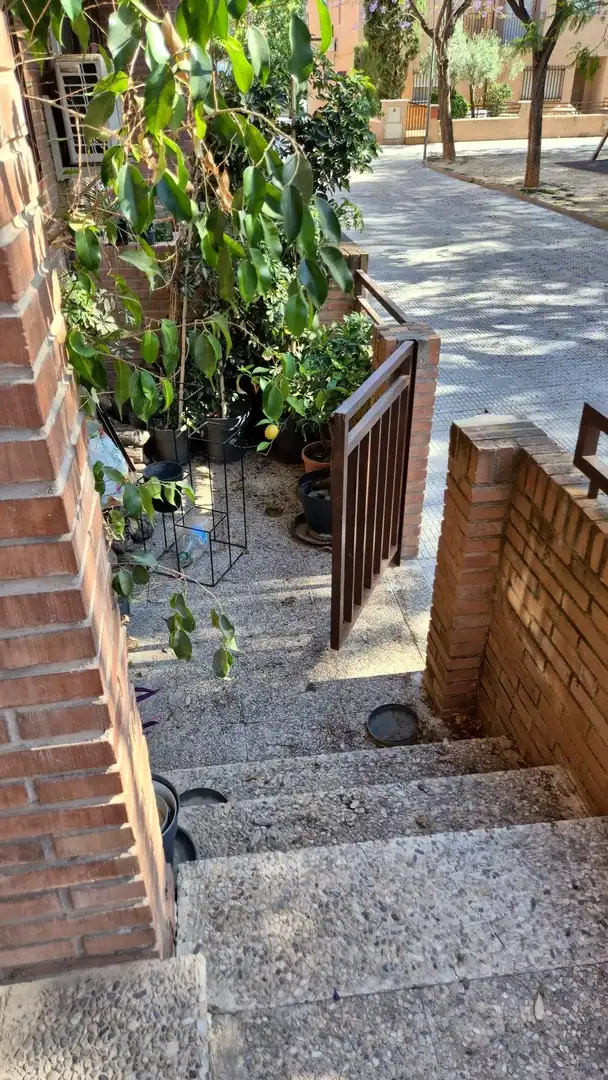 Jardín de Casa adosada de alquiler en Murcia con Calefacción, Jardín privado y Terraza