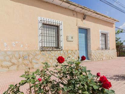 Vista exterior de Finca rústica en venda en Callosa de Segura amb Jardí privat