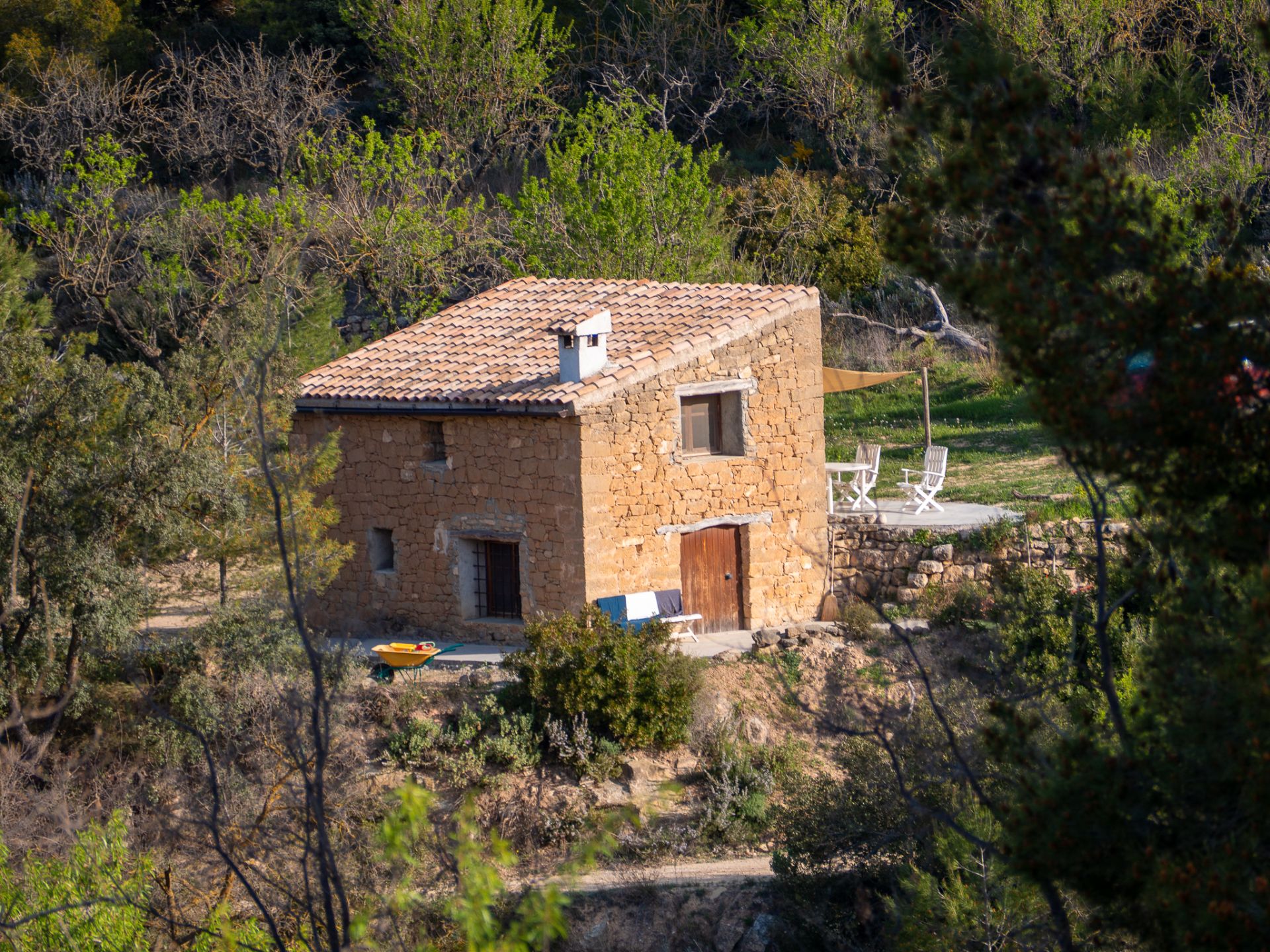 Exterior view of Country house for sale in Caseres  with Furnished