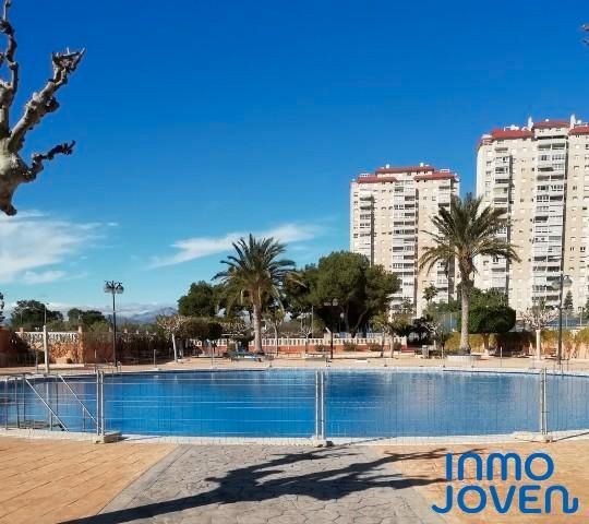 Swimming pool of Apartment to rent in El Campello  with Terrace, Furnished and Community pool