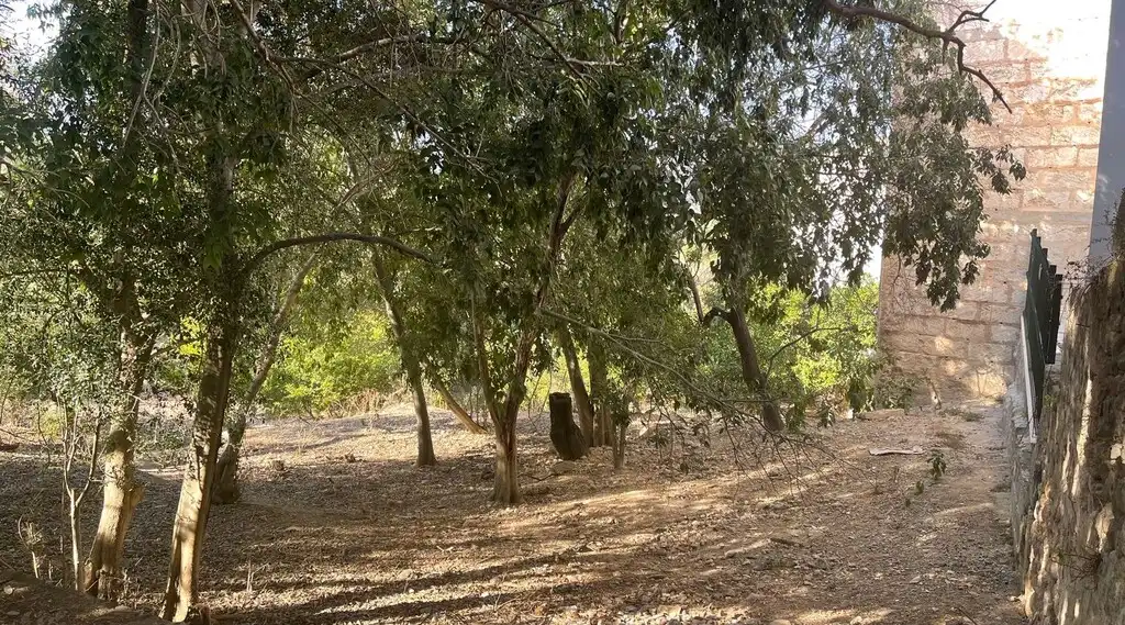 Terreno rustico in vendita a Campanet, imagen 14