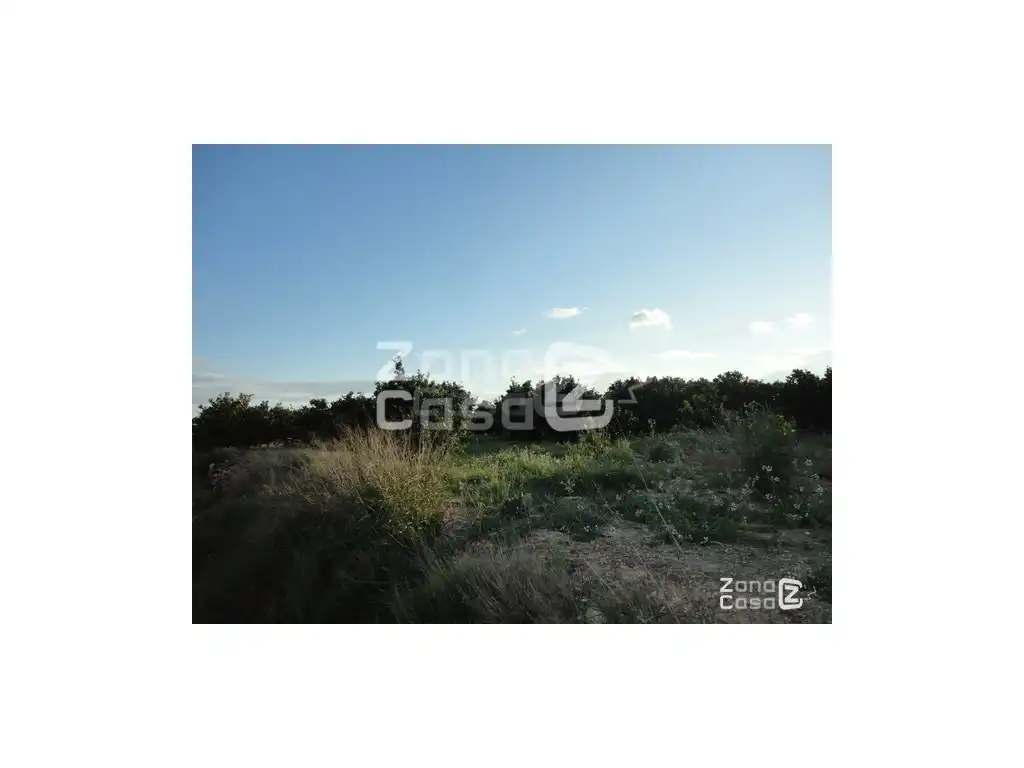 Country house for sale in Alfarb, imagen 6