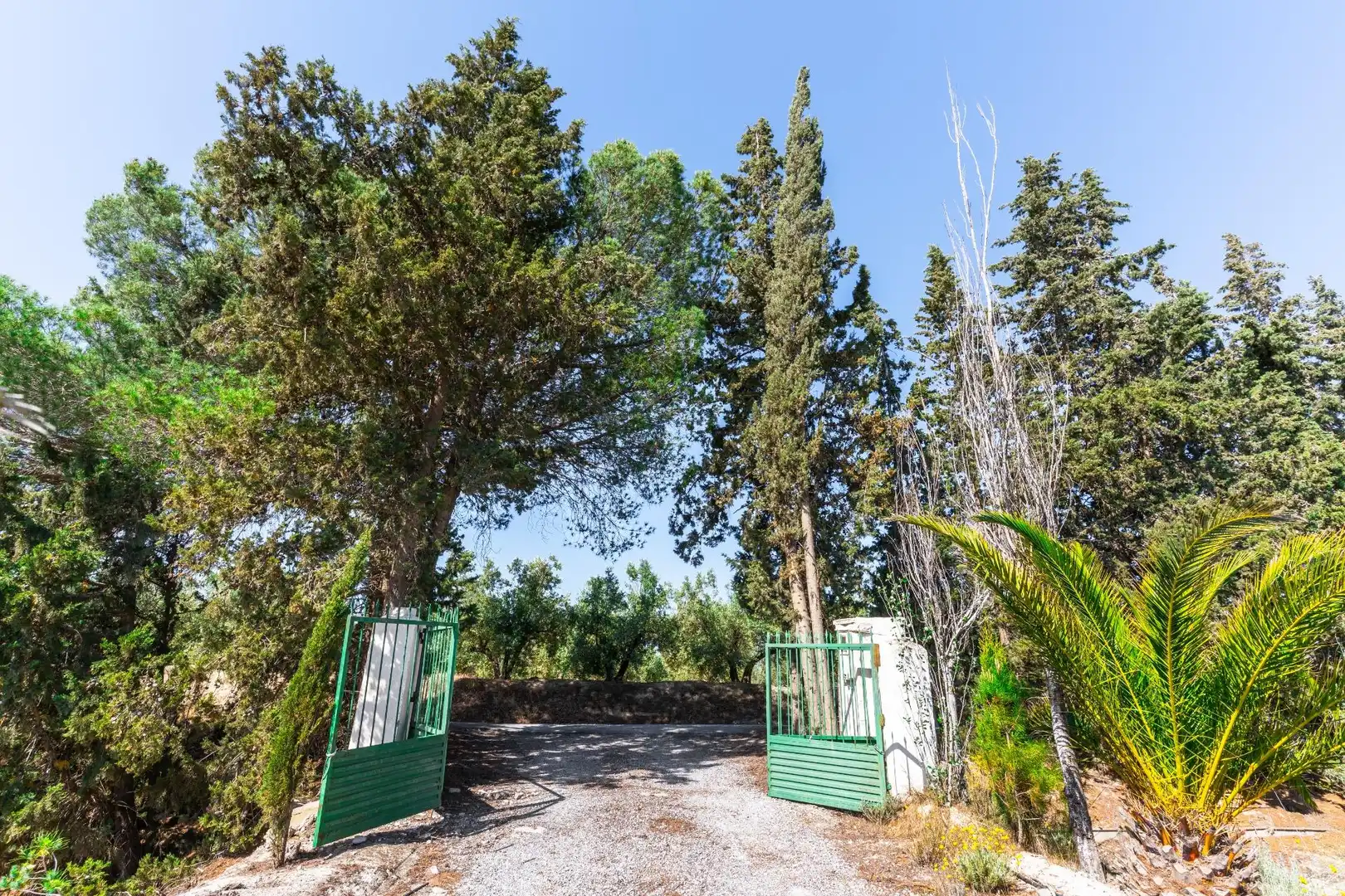 Terreno en venta en Tíjola