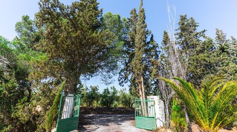 Finca con luz, agua y certificado urbanístico en Tíjola, immagine 5