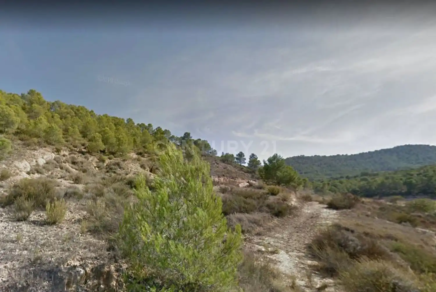 Terreno rústico en venta en Partida el Peralejo, imagen 7