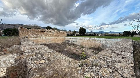 PARCELA DE TERRENO RUSTICO DE 14.885 EN LA MARJAL DE ONIL