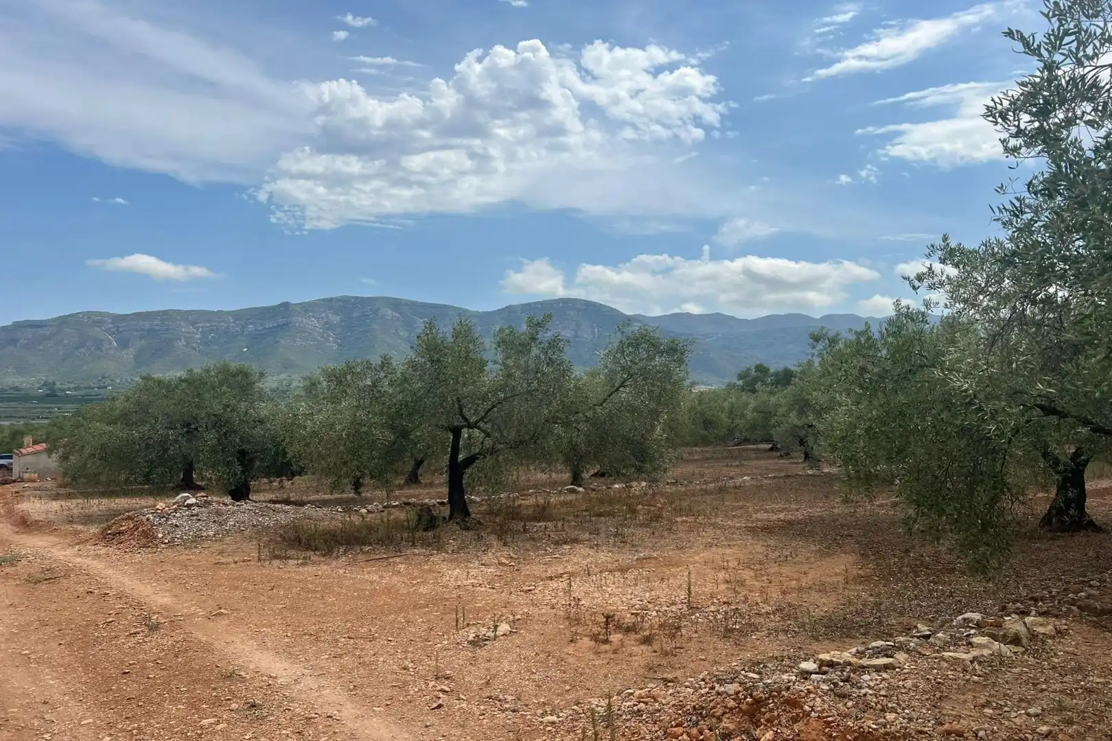 Finca rústica en venda en Freginals