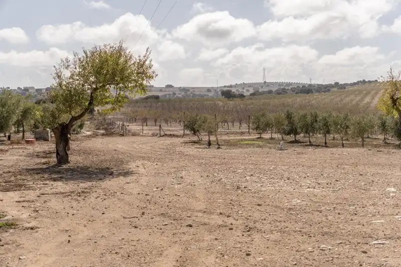 Terreni e lotti in vendita a Alamedilla, imagen 25